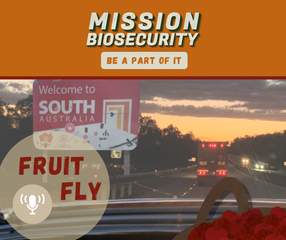 Fruit Fly Podcast